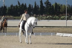 Майорка: урок верховой езды, высшая школа