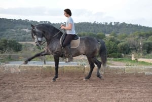 Майорка: урок верховой езды, высшая школа
