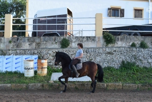 Майорка: урок верховой езды, высшая школа