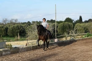 Майорка: урок верховой езды, высшая школа