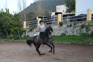 Майорка: урок верховой езды, высшая школа