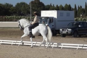 Майорка: урок верховой езды, высшая школа