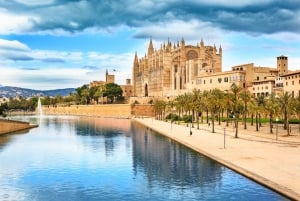 Mallorca: Santa Maria Cathedral Entry Ticket and Audio Guide