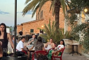 Mallorca Santa Maria Terroir Winery tour og vinsmagning