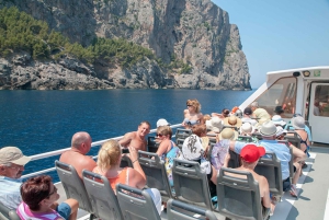 Mallorca: Scenic Full-Day Tour from the North