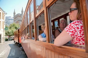 Mallorca: Scenic Full-Day Tour from the North