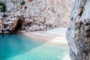 Mallorca: Island Tour with Boat & Train Ride from the South