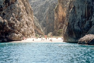 Mallorca: Island Tour with Boat & Train Ride from the South