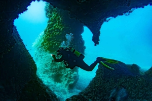 Mallorca: Scuba Dive Adventure Cap Formentor - 1 Dive (license required)