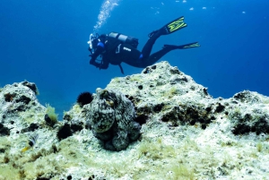 Mallorca: Scuba Dive Adventure Cap Formentor - 1 Dive (license required)