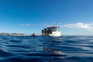 Mallorca: Scuba Dive Adventure Cap Formentor - 1 Dive (license required)
