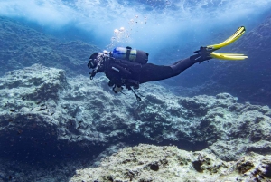 Mallorca: Scuba Dive Adventure Cap Formentor - 1 Dive (license required)