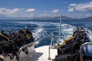 Mallorca: Duiken - 1 duik vanaf de boot (voor gebrevetteerde duikers)