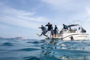 Mallorca: Duiken - 1 duik vanaf de boot (voor gebrevetteerde duikers)