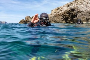 Mallorca: Duiken - 1 duik vanaf de boot (voor gebrevetteerde duikers)