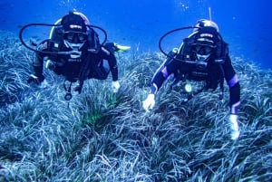 Майорка: подводное плавание с аквалангом в Кап-де-Форментор — 2 места для погружения