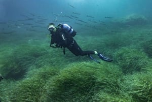 Майорка: подводное плавание с аквалангом в Кап-де-Форментор — 2 места для погружения