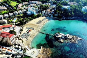 Mallorca: Tauchen für Anfänger