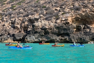 Mallorca: Kajakkiretki meriluoliin, snorklausta ja välipala