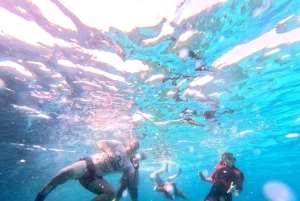 Mallorca: Kajakkiretki meriluoliin, snorklausta ja välipala