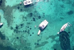 Mallorca: Diner aan boord van een privécatamaran met snorkelen en peddelsurfen