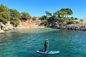 Mallorca: Diner aan boord van een privécatamaran met snorkelen en peddelsurfen