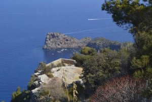 Mallorca: Tramuntana Mountains Tour with Local Guide & Lunch