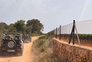 Mallorca: Selvkørende 4x4 jeepsafari-tur