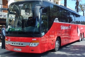 Shared One-Way Transfer to Palma Airport