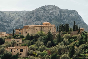 Landudflugt på Mallorca til Soller, Valldemossa og Deia