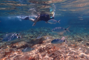 Mallorca: Snorkling i et vakkert naturreservat