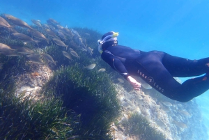 Mallorca: Snorkling i et vakkert naturreservat
