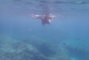 Mallorca: Snorkling i et vakkert naturreservat