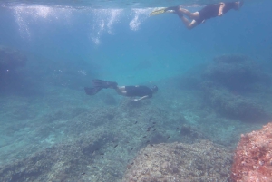 Mallorca: Snorkling i et vakkert naturreservat