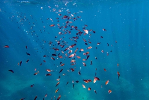 Mallorca: Snorkeltur med dykkertrener fra båt – Cap de Formentor