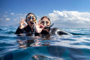 Mallorca: Snorkkeliretki sukellusoppaiden kanssa veneellä – Cap de Formentor