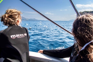 Mallorca: Snorkkeliretki sukellusoppaiden kanssa veneellä – Cap de Formentor