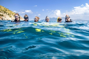 Mallorca: Snorkkeliretki sukellusoppaiden kanssa veneellä – Cap de Formentor