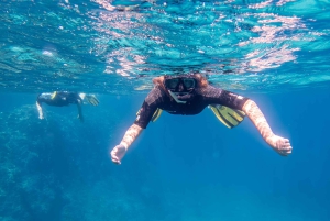 Mallorca: Snorkkeliretki sukellusoppaiden kanssa veneellä – Cap de Formentor