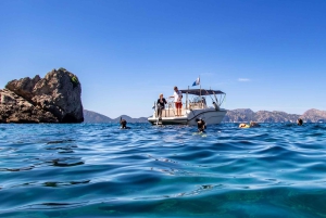Mallorca: Snorkkeliretki sukellusoppaiden kanssa veneellä – Cap de Formentor