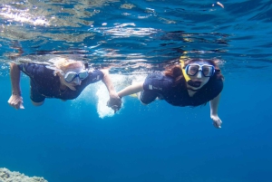 Mallorca: Snorkkeliretki sukellusoppaiden kanssa veneellä – Cap de Formentor