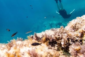 Mallorca: Snorkeltur med dykkertrener fra båt – Cap de Formentor