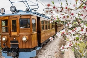 Mallorca: Sóller og Port de Sóller med tog og sporvogn