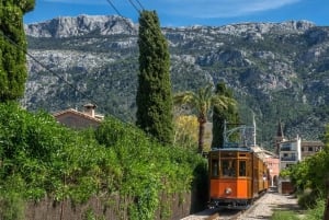 Mallorca: Sóller og Port de Sóller med tog og sporvogn