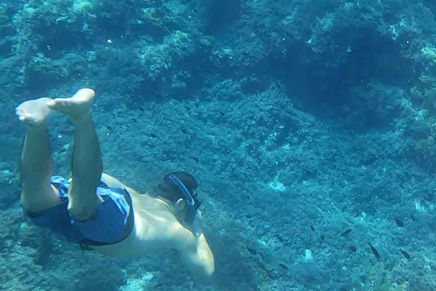 マヨルカ：ソラーボートツアー（スノーケリングと軽食付き）