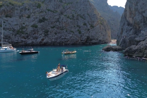 マヨルカ：ソラーボートツアー（スノーケリングと軽食付き）