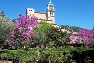 Mallorca: Soller Port and Valldemossa