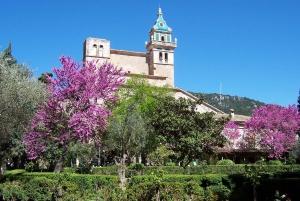 Mallorca: Soller Port and Valldemossa