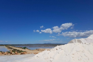 Mallorca: South Coast Sightseeing Tour with Transfer & Snack