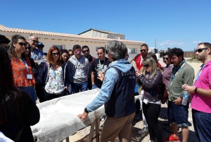 Mallorca: South Coast Sightseeing Tour with Transfer & Snack